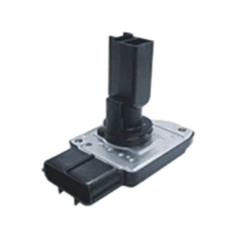 AFH90-02 Car Air Flow Sensor